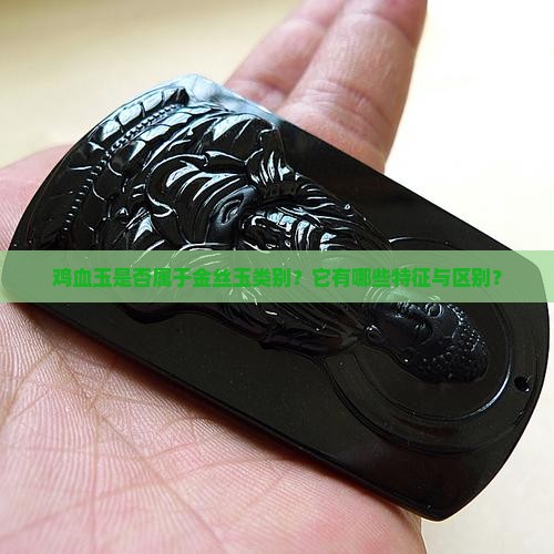 鸡血玉是否属于金丝玉类别？它有哪些特征与区别？