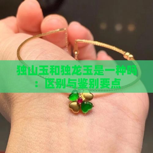 独山玉和独龙玉是一种吗：区别与鉴别要点
