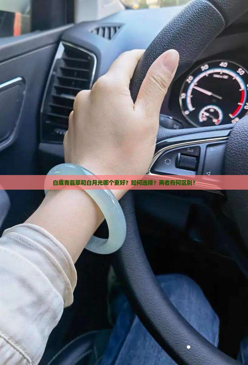 白底青翡翠和白月光哪个更好？如何选择？两者有何区别？