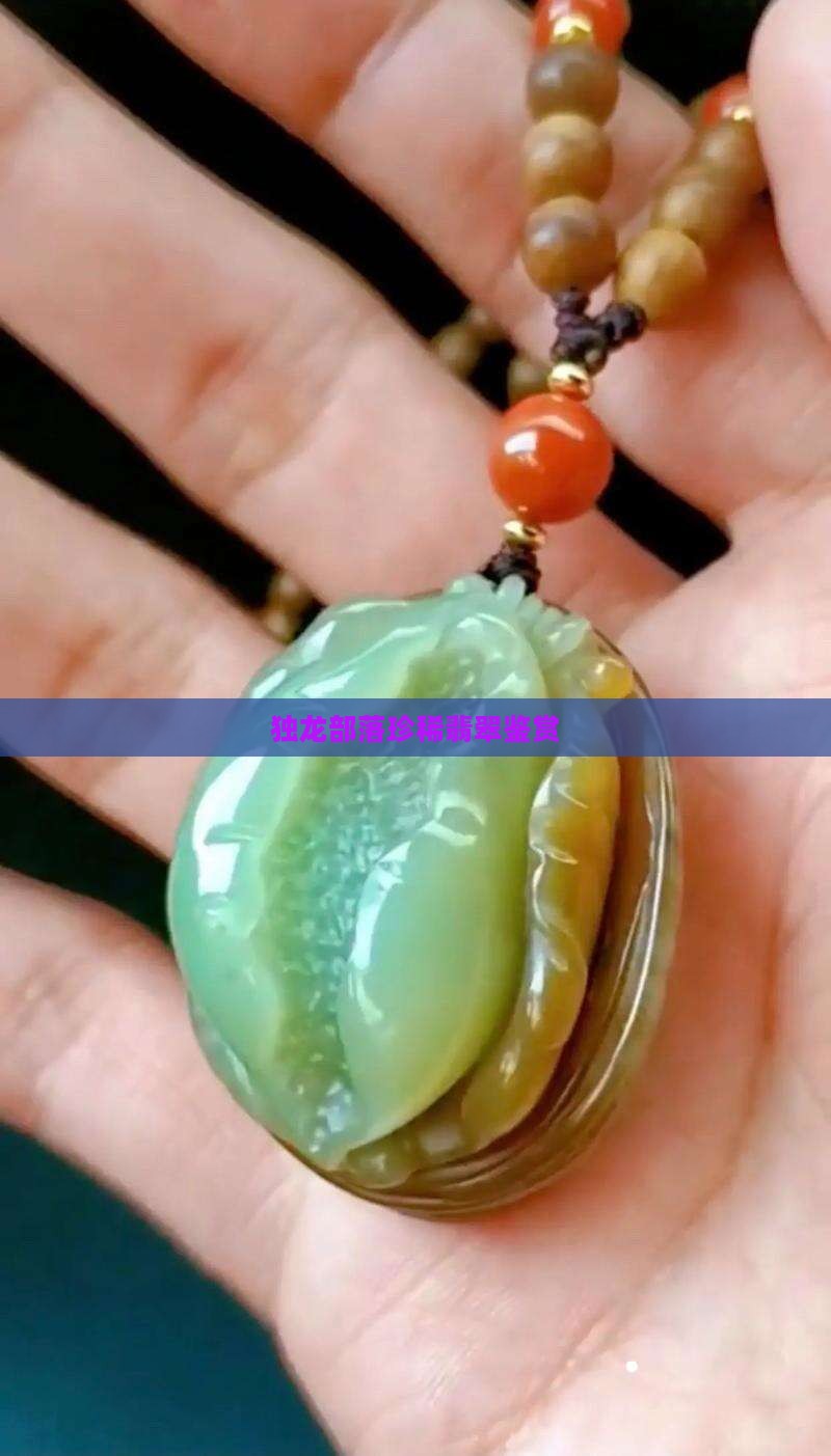 独龙部落珍稀翡翠鉴赏