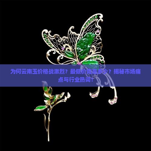 为何云南玉价格战激烈？最低价竟是多少？揭秘市场痛点与行业热词！