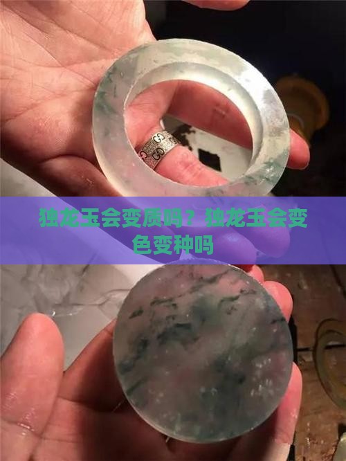 独龙玉会变质吗？独龙玉会变色变种吗