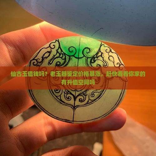 仙古玉值钱吗？老玉器鉴定价格暴涨，赶快看看你家的有升值空间吗