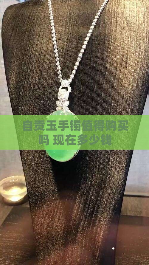 自贡玉手镯值得购买吗 现在多少钱
