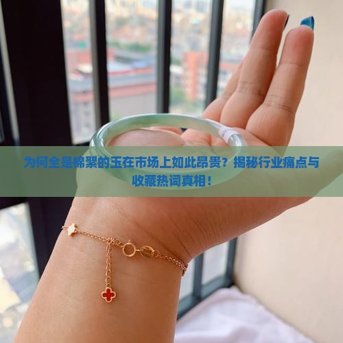 为何全是棉絮的玉在市场上如此昂贵？揭秘行业痛点与收藏热词真相！