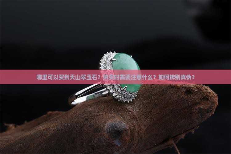 哪里可以买到天山翠玉石？购买时需要注意什么？如何辨别真伪？