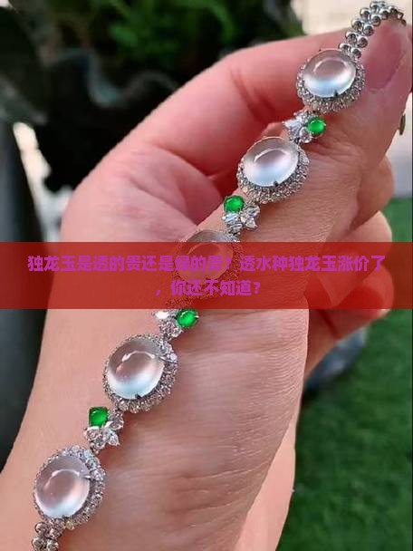 独龙玉是透的贵还是绿的贵？透水种独龙玉涨价了，你还不知道？