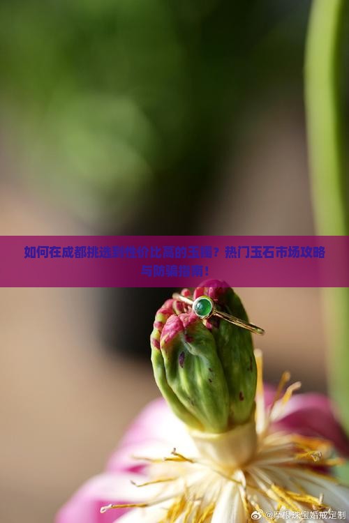 如何在成都挑选到性价比高的玉镯？热门玉石市场攻略与防骗指南！