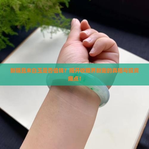 新疆且末白玉是否值钱？揭开收藏界新宠的真相与投资痛点！