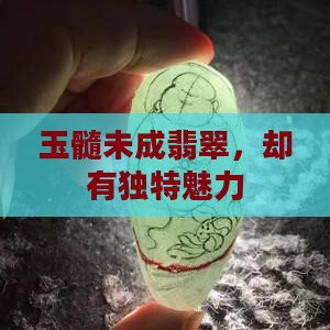 玉髓未成翡翠，却有独特魅力