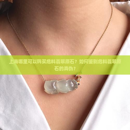 上海哪里可以购买危料翡翠原石？如何鉴别危料翡翠原石的真伪？