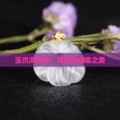 玉爪海东青：翱翔的猛禽之美