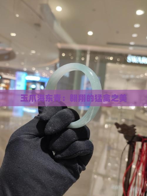 玉爪海东青：翱翔的猛禽之美