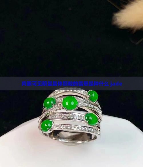 肉眼可见明显晶体颗粒的翡翠是种什么 jade