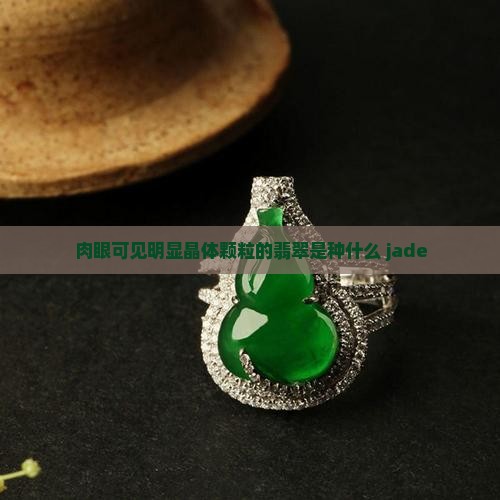 肉眼可见明显晶体颗粒的翡翠是种什么 jade