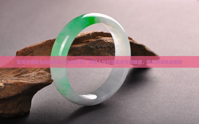 翡翠手镯紫色和绿色哪个比较好看？年轻人纠结高级感与吸睛度，网红种草机来解惑