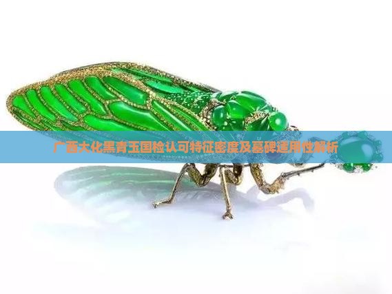 广西大化黑青玉国检认可特征密度及墓碑适用性解析