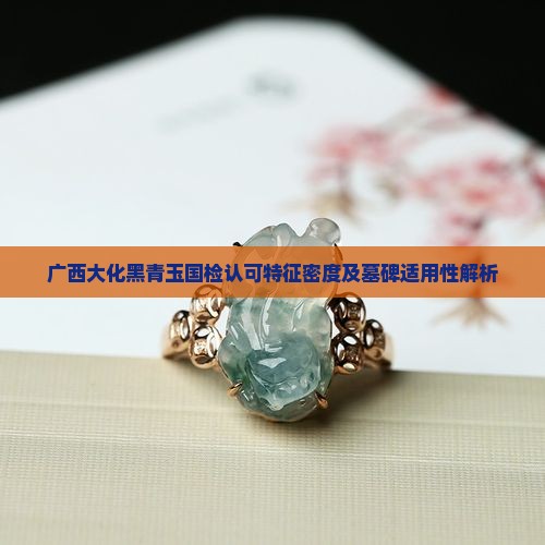 广西大化黑青玉国检认可特征密度及墓碑适用性解析