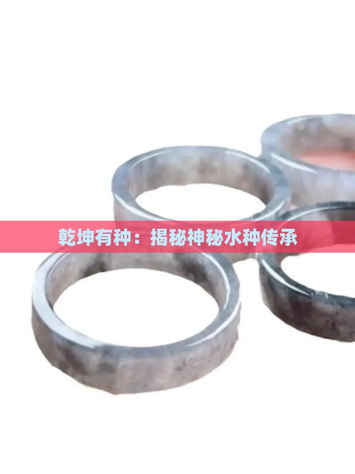 乾坤有种：揭秘神秘水种传承