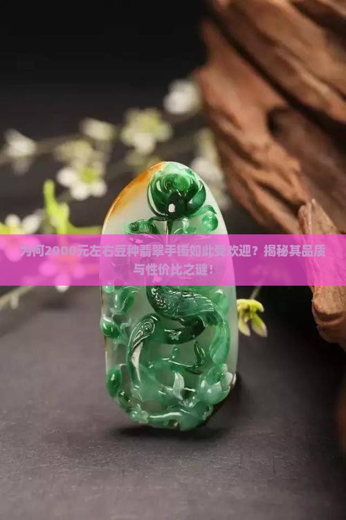 为何2000元左右豆种翡翠手镯如此受欢迎？揭秘其品质与性价比之谜！