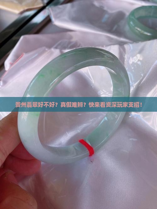 贵州翡翠好不好？真假难辨？快来看资深玩家支招！