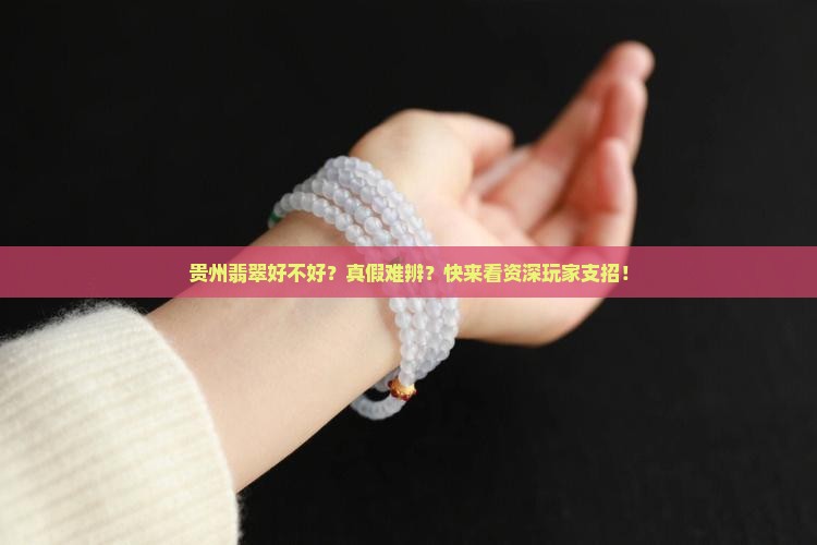 贵州翡翠好不好？真假难辨？快来看资深玩家支招！