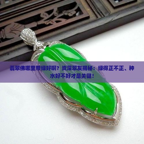 翡翠佛哪里带绿好啊？资深翠友揭秘：绿得正不正、种水好不好才是关键！