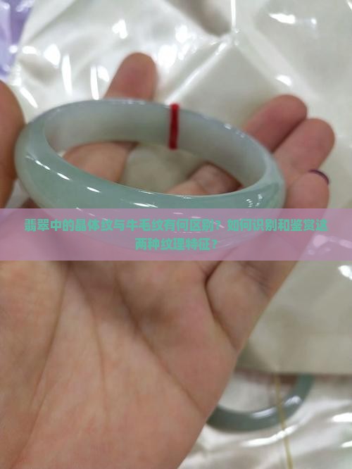 翡翠中的晶体纹与牛毛纹有何区别？如何识别和鉴赏这两种纹理特征？
