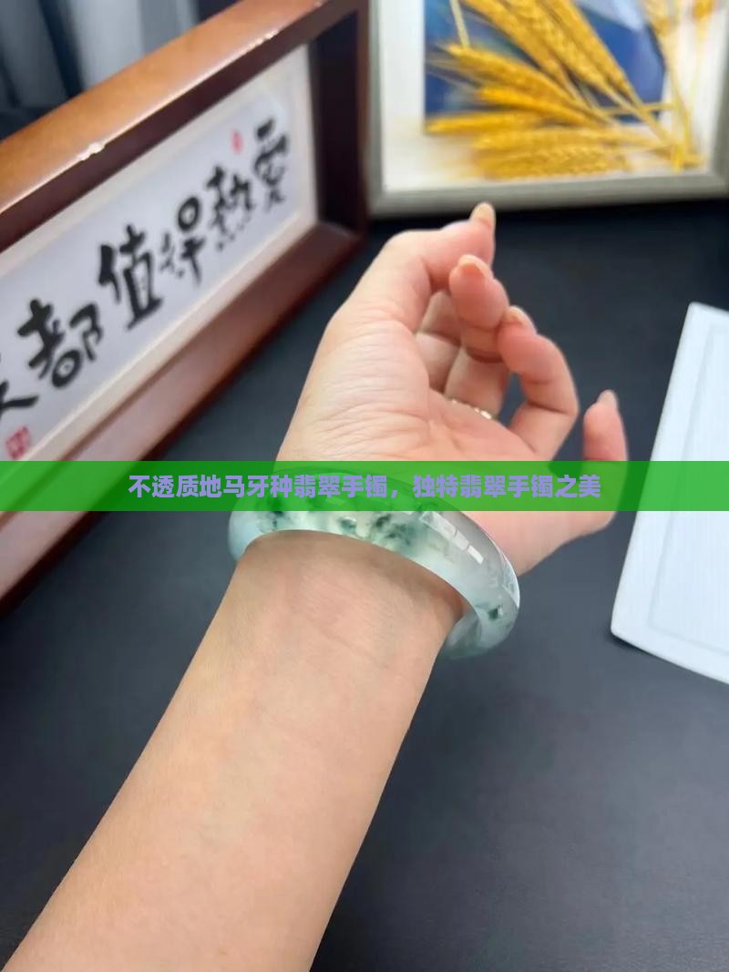 不透质地马牙种翡翠手镯，独特翡翠手镯之美
