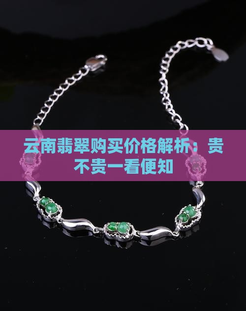云南翡翠购买价格解析：贵不贵一看便知