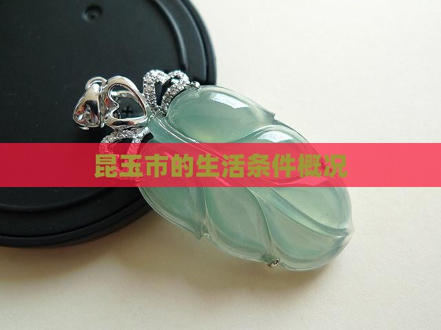 昆玉市的生活条件概况