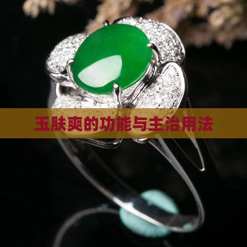 玉肤爽的功能与主治用法