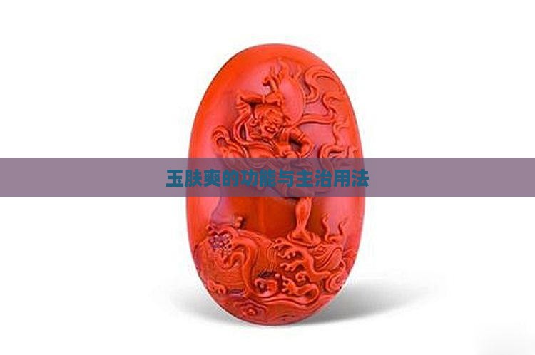玉肤爽的功能与主治用法