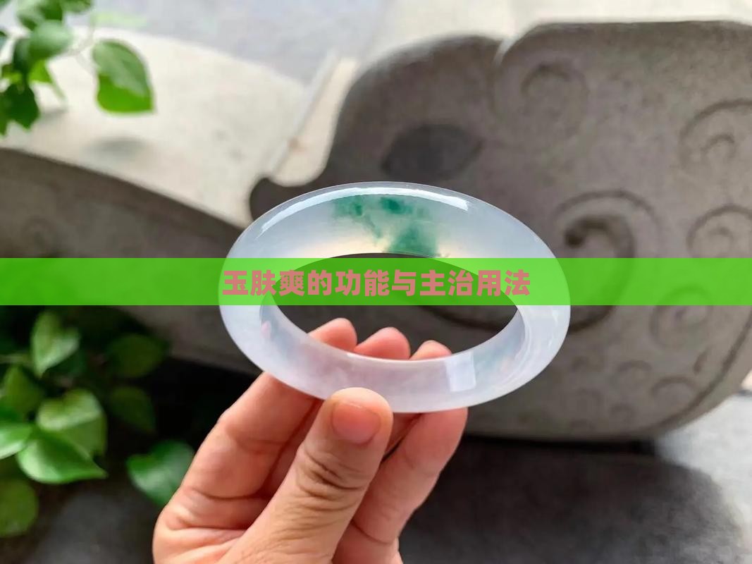 玉肤爽的功能与主治用法