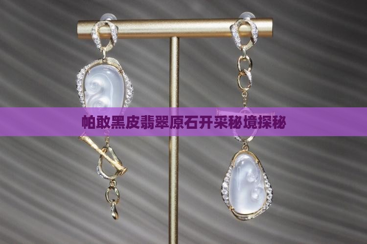 帕敢黑皮翡翠原石开采秘境探秘