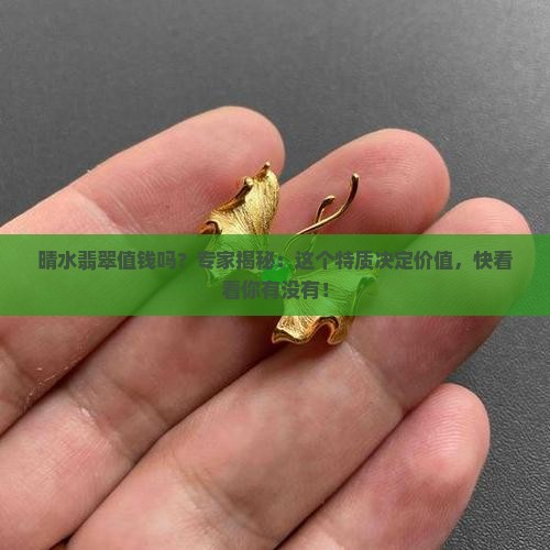 晴水翡翠值钱吗？专家揭秘：这个特质决定价值，快看看你有没有！