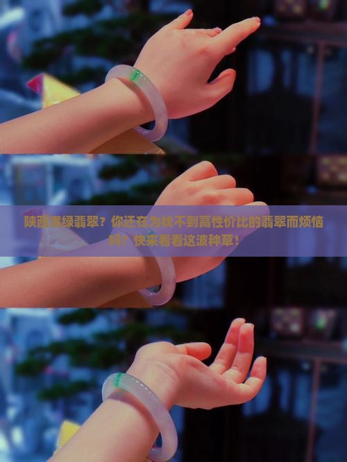 陕西满绿翡翠？你还在为找不到高性价比的翡翠而烦恼吗？快来看看这波种草！