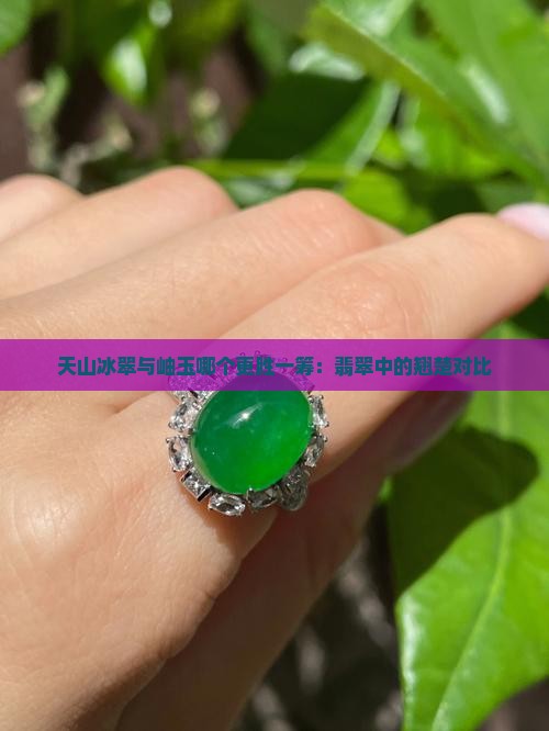 天山冰翠与岫玉哪个更胜一筹：翡翠中的翘楚对比