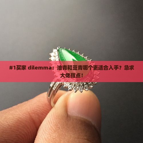 #1买家 dilemma：油青和豆青哪个更适合入手？急求大佬指点！