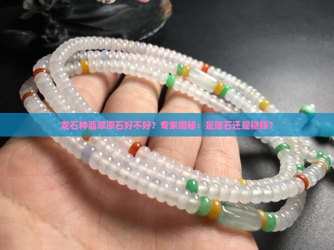 龙石种翡翠原石好不好？专家揭秘：是赌石还是稳赚？