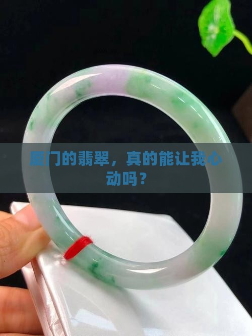 厦门的翡翠，真的能让我心动吗？