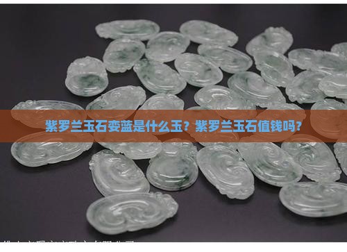 紫罗兰玉石娈蓝是什么玉？紫罗兰玉石值钱吗？