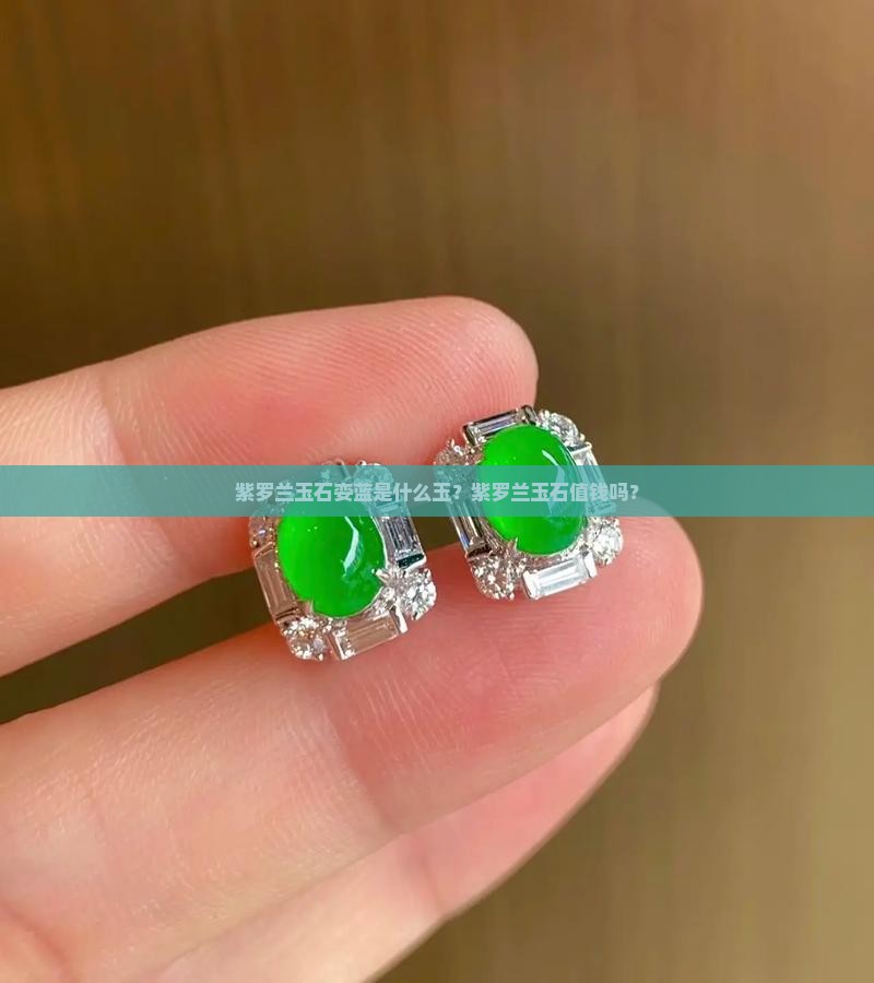 紫罗兰玉石娈蓝是什么玉？紫罗兰玉石值钱吗？