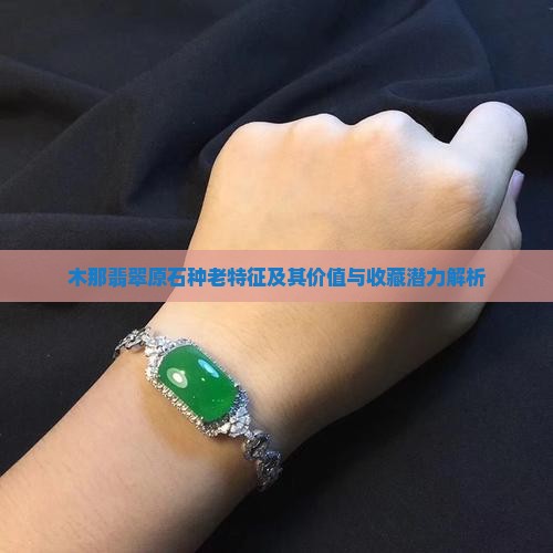 木那翡翠原石种老特征及其价值与收藏潜力解析