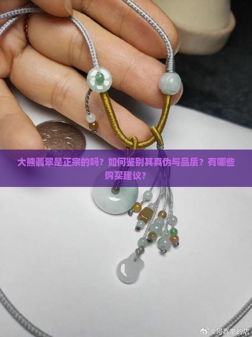 大熊翡翠是正宗的吗？如何鉴别其真伪与品质？有哪些购买建议？