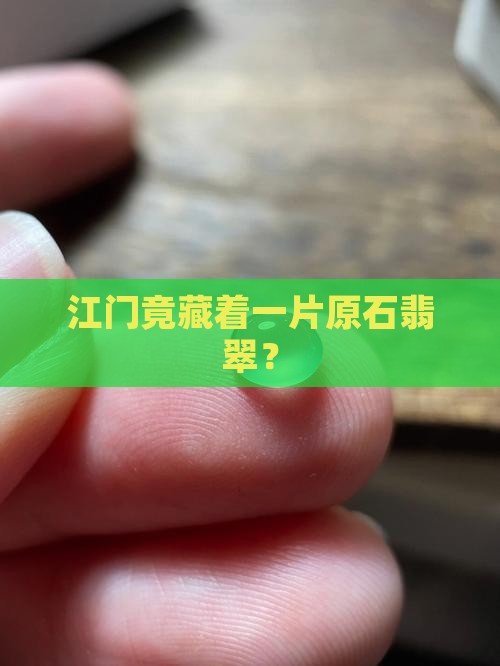 江门竟藏着一片原石翡翠？