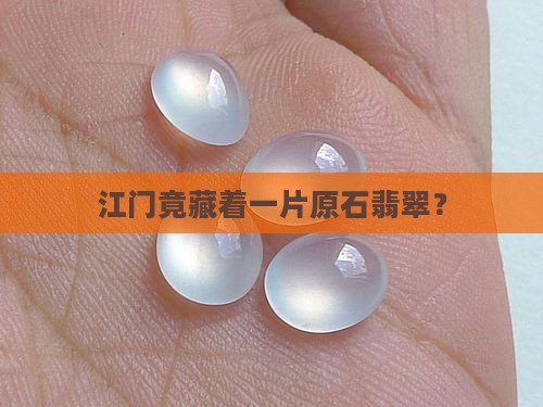 江门竟藏着一片原石翡翠？