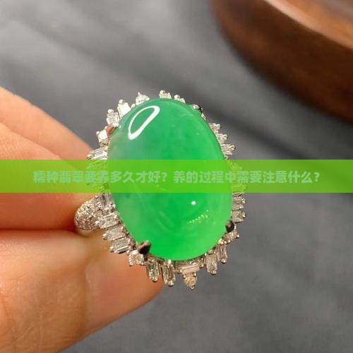 糯种翡翠要养多久才好？养的过程中需要注意什么？