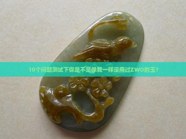 10个问题测试下你是不是像我一样没用过ZWO的玉？