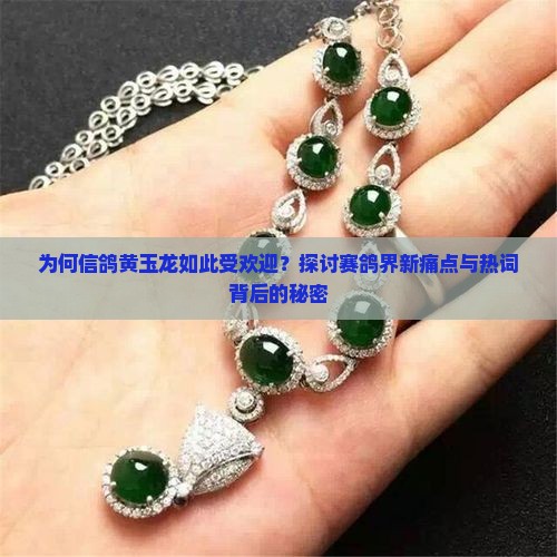 为何信鸽黄玉龙如此受欢迎？探讨赛鸽界新痛点与热词背后的秘密